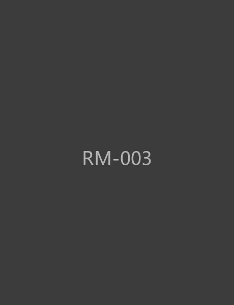 入门滑雪手套 RM-003