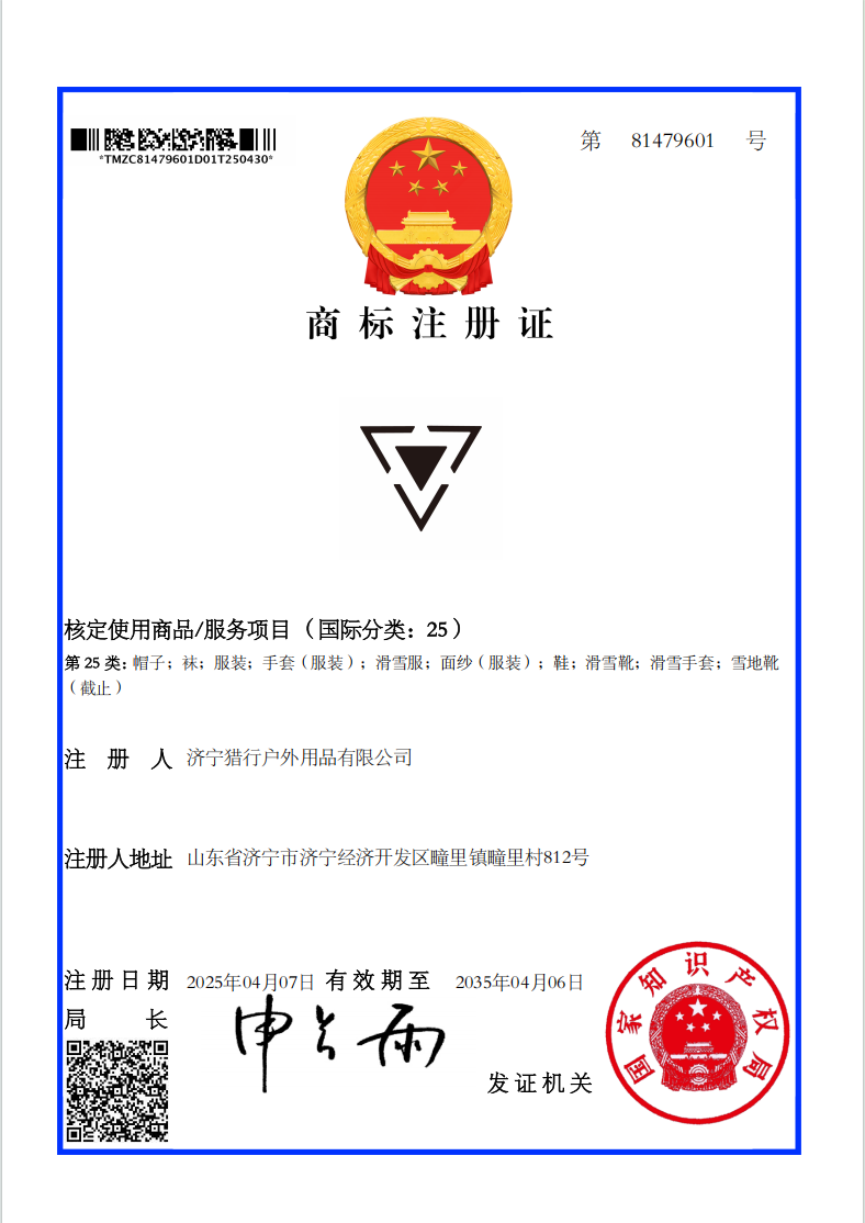 图形商标B