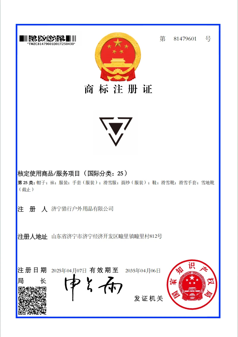 图形商标B